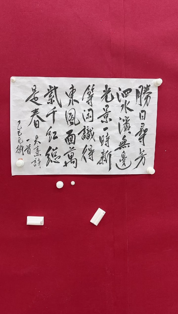 书法Z天津人美--范Y老师-2.7平尺书法作品