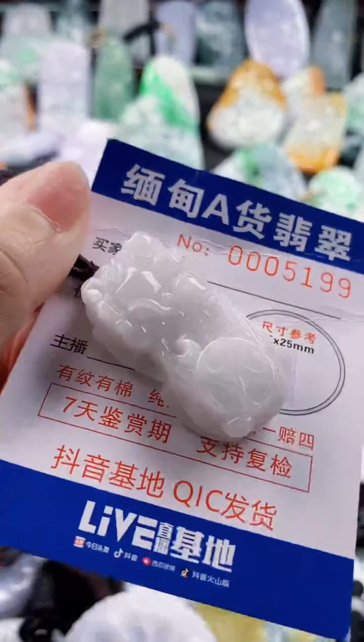 翡翠未镶嵌吊坠(不含链)1