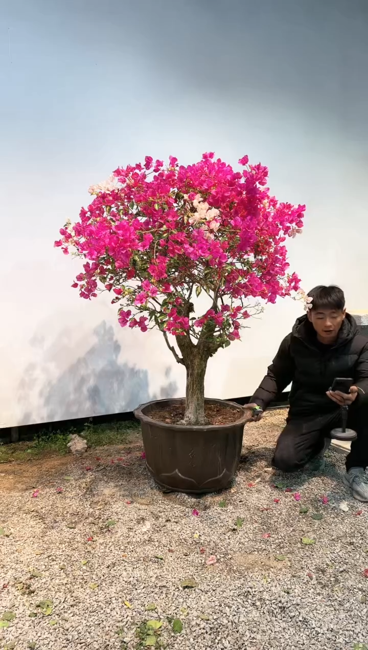 【闪购商品】aa934