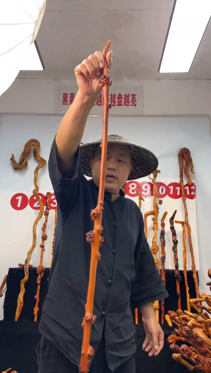 黑果木其他黑果木873
