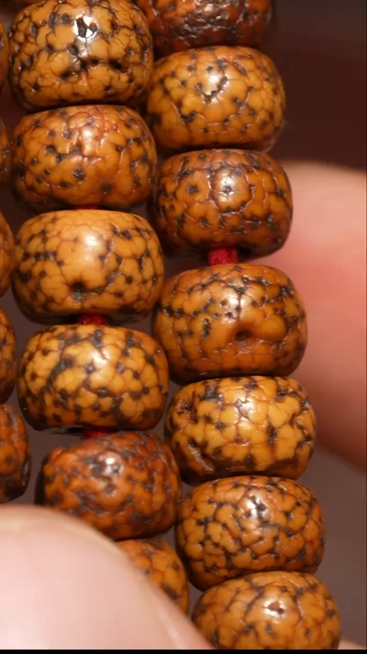 【闪购商品】冲赛康胡子哥，藏传念珠168