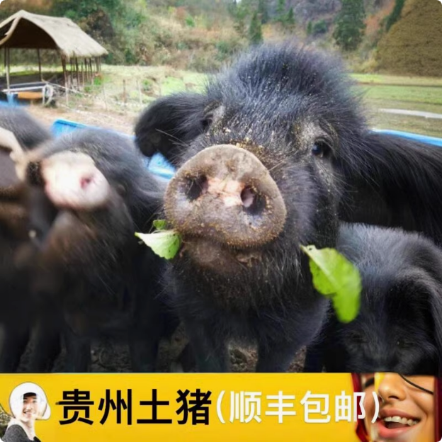 贵州农家特产（一物一拍）