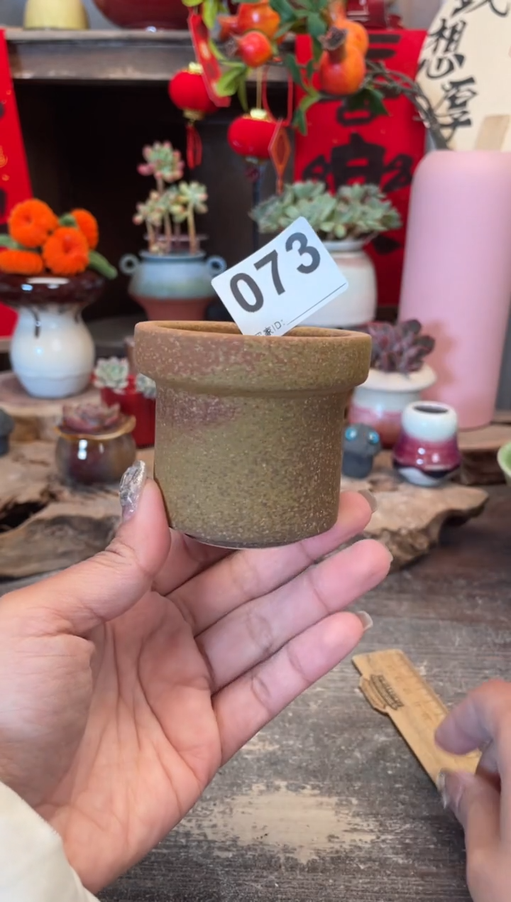 【闪购商品】摆件073知木小芳花盆