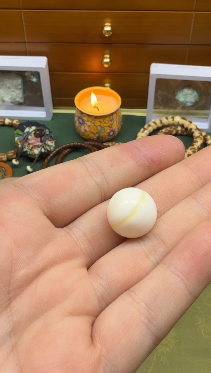 贝壳手串/手链白色贝壳1.6一线天单颗