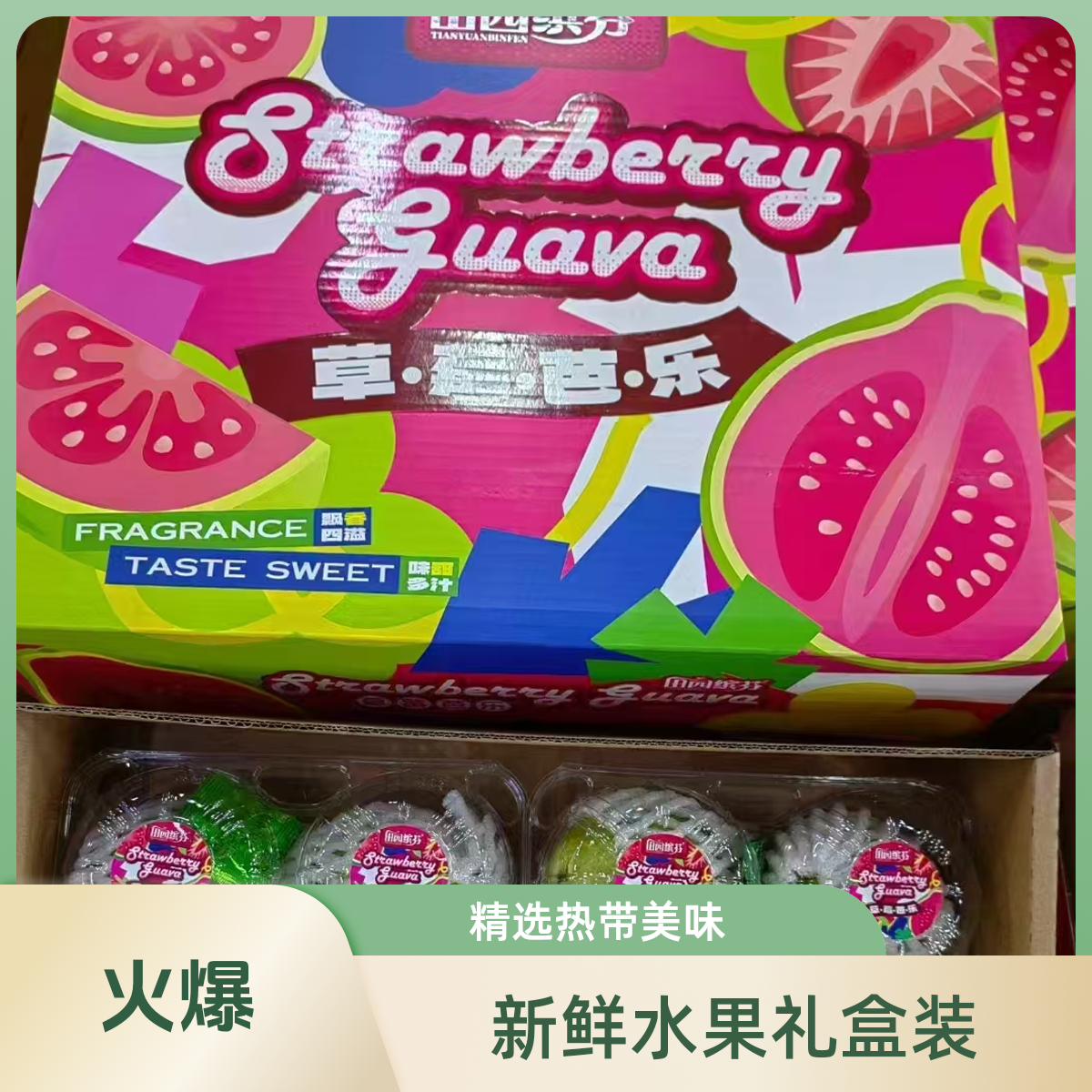 【红心芭乐】正宗福建草莓大芭乐，放熟了嘎嘎好吃