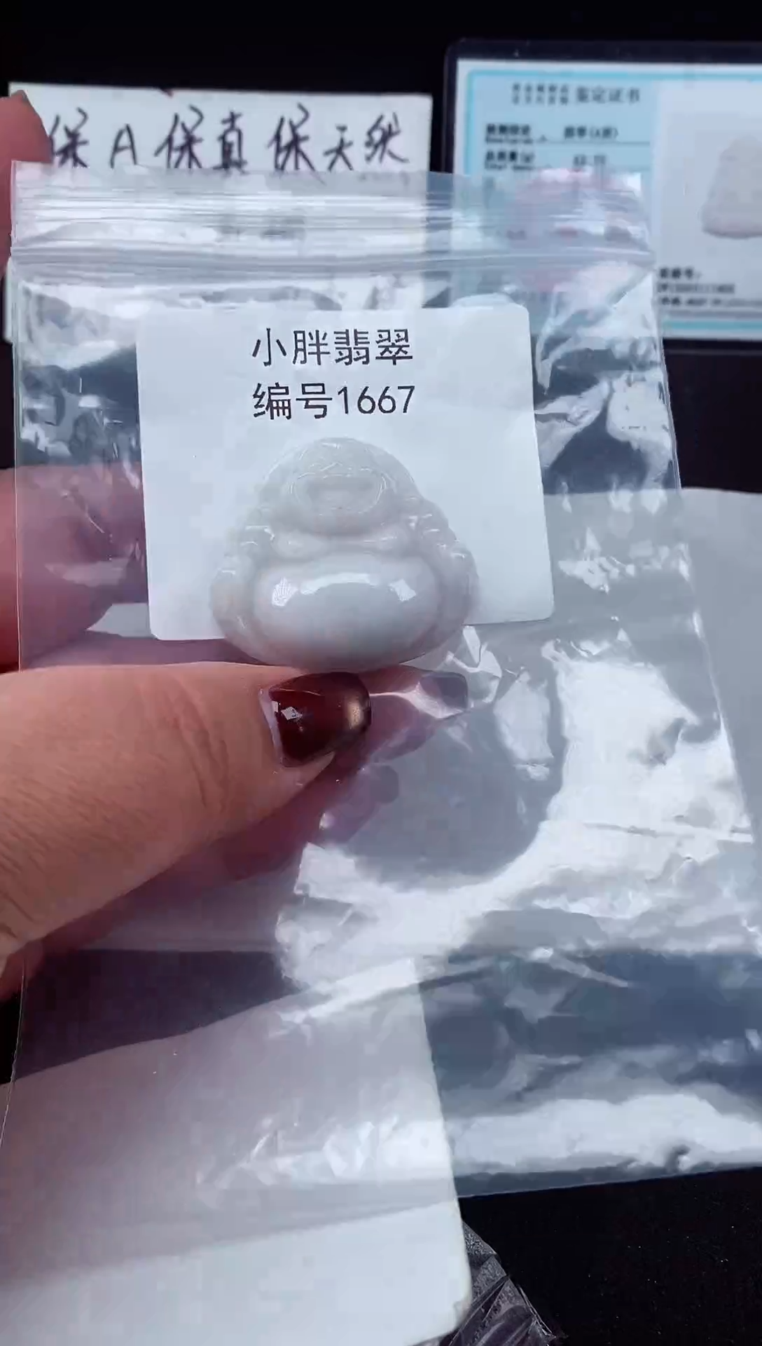 颈饰未镶嵌翡翠缅甸天然A货翡翠1667