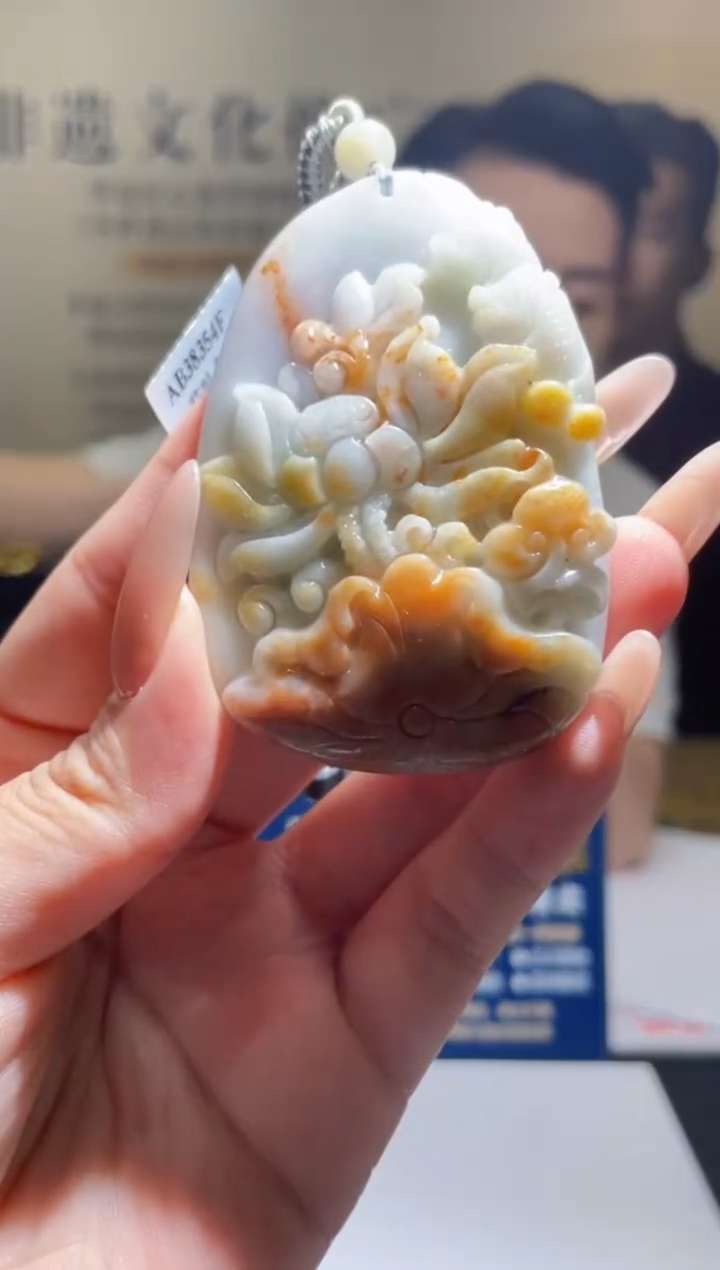 翡翠未镶嵌颈饰N-@@LSFA0502516