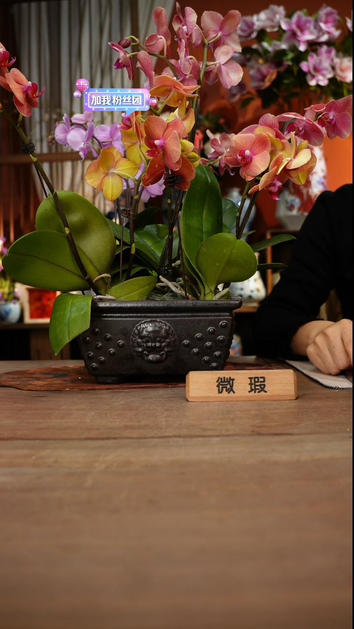 当代高温釉下彩手绘陶瓷餐具