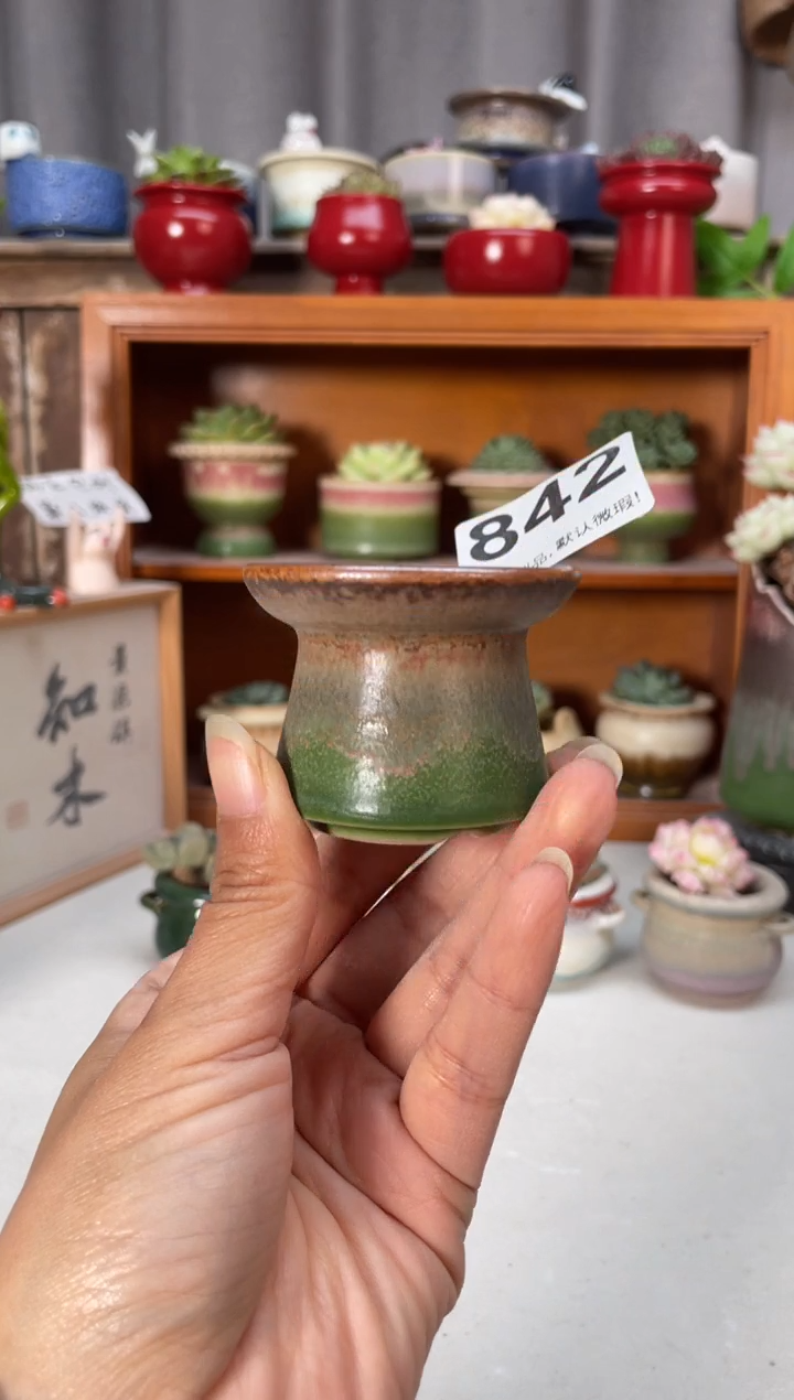 瓷片842小芳直播编号