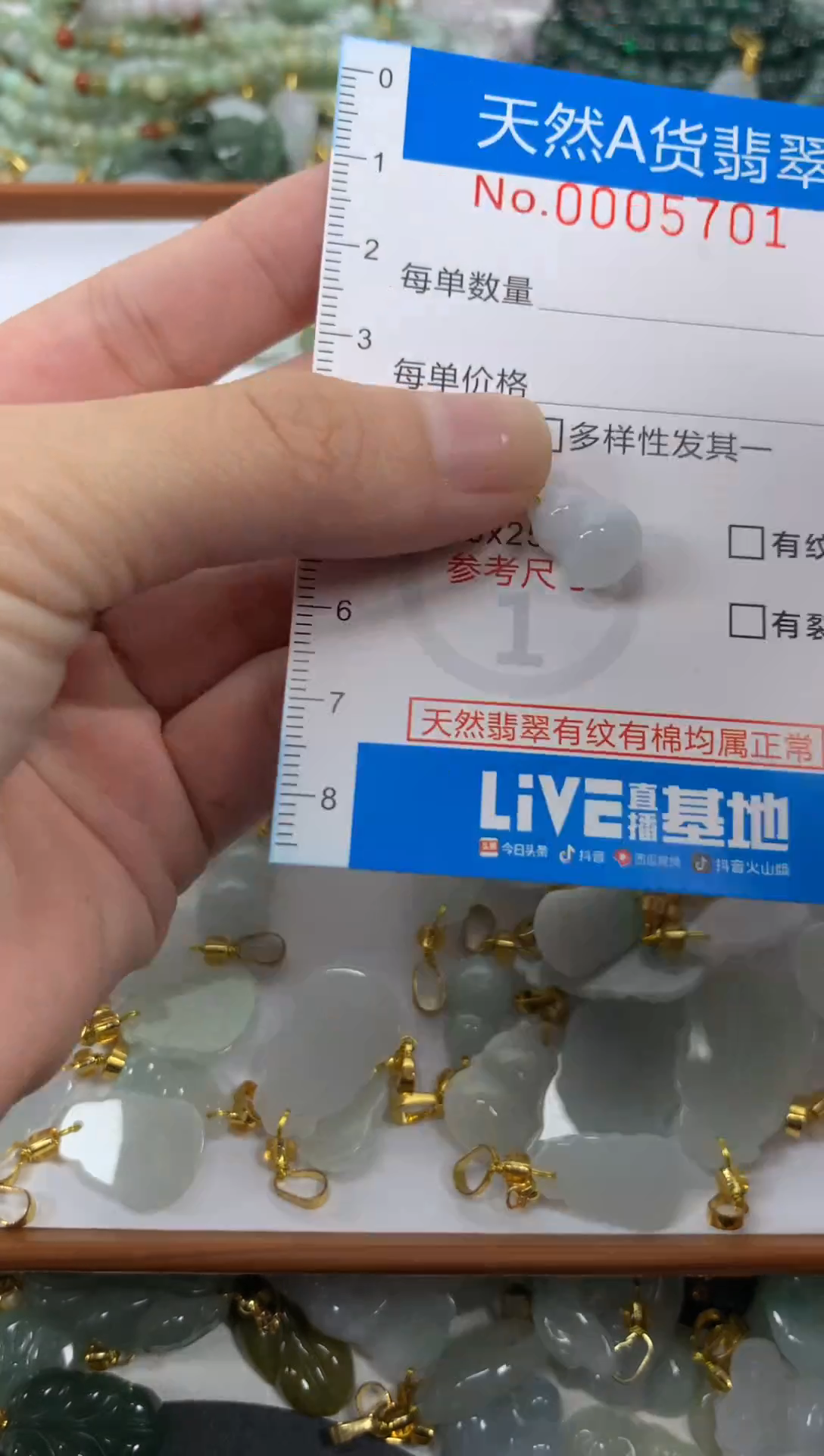 颈饰未镶嵌翡翠净货挂件-5701