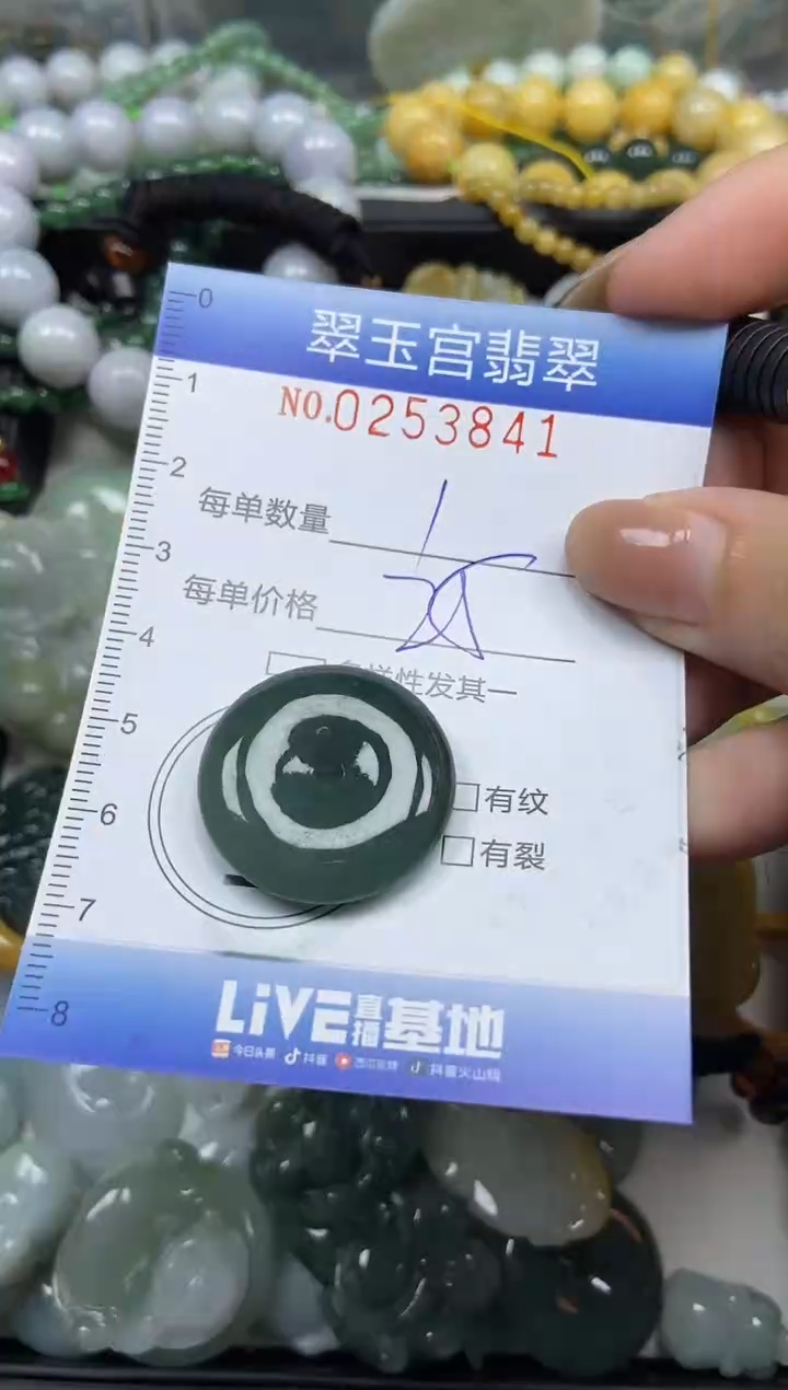 颈饰未镶嵌翡翠闪购C0253841