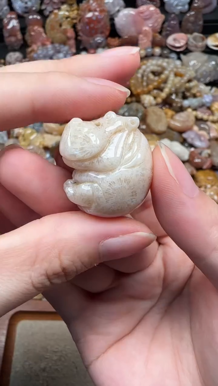 颈饰未镶嵌硅化珊瑚（珊瑚玉）475