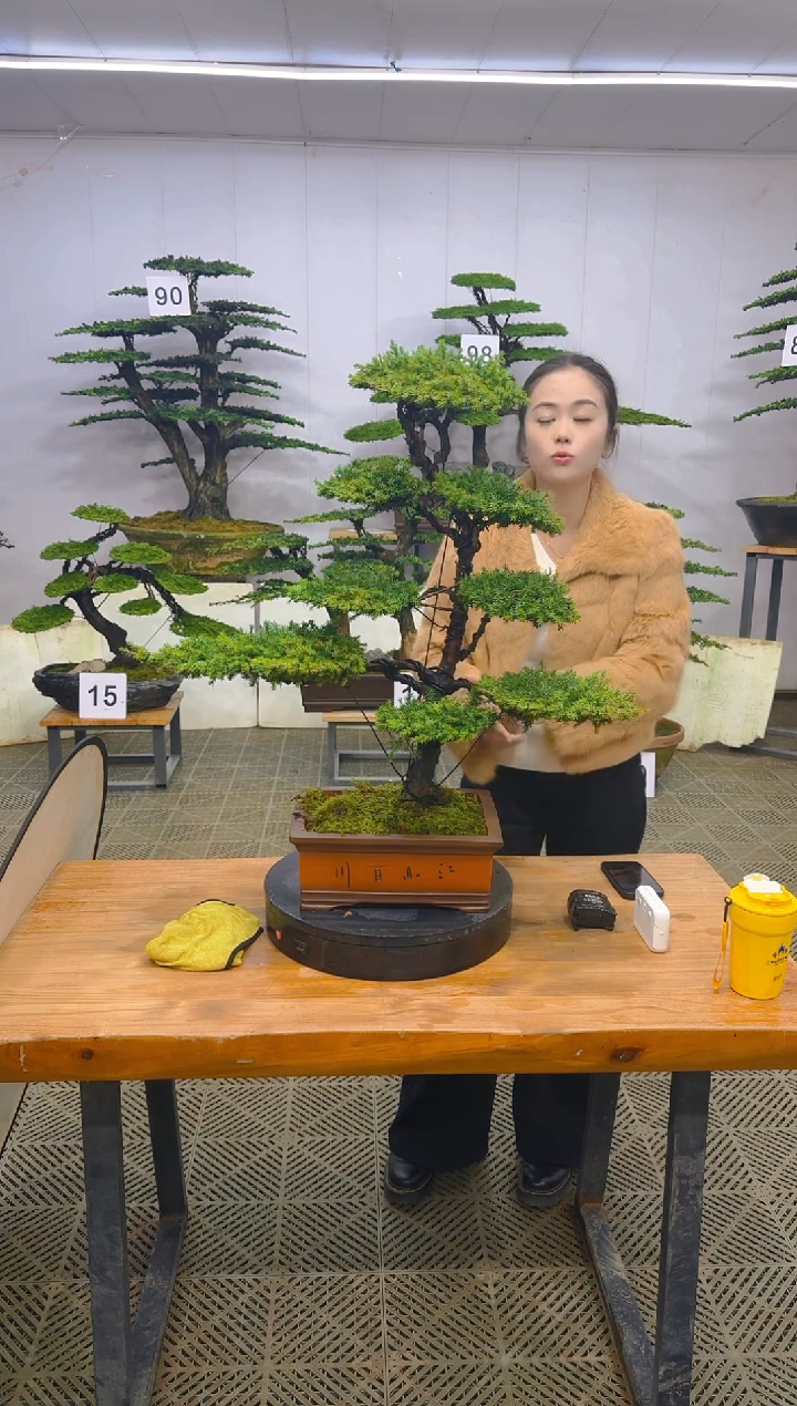 无花朵一物一拍一物一拍