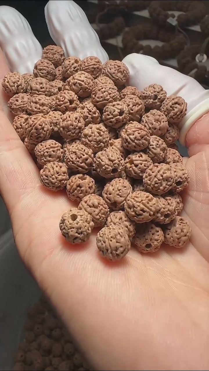 金刚菩提手串一代龙散籽8mm 一份五十颗