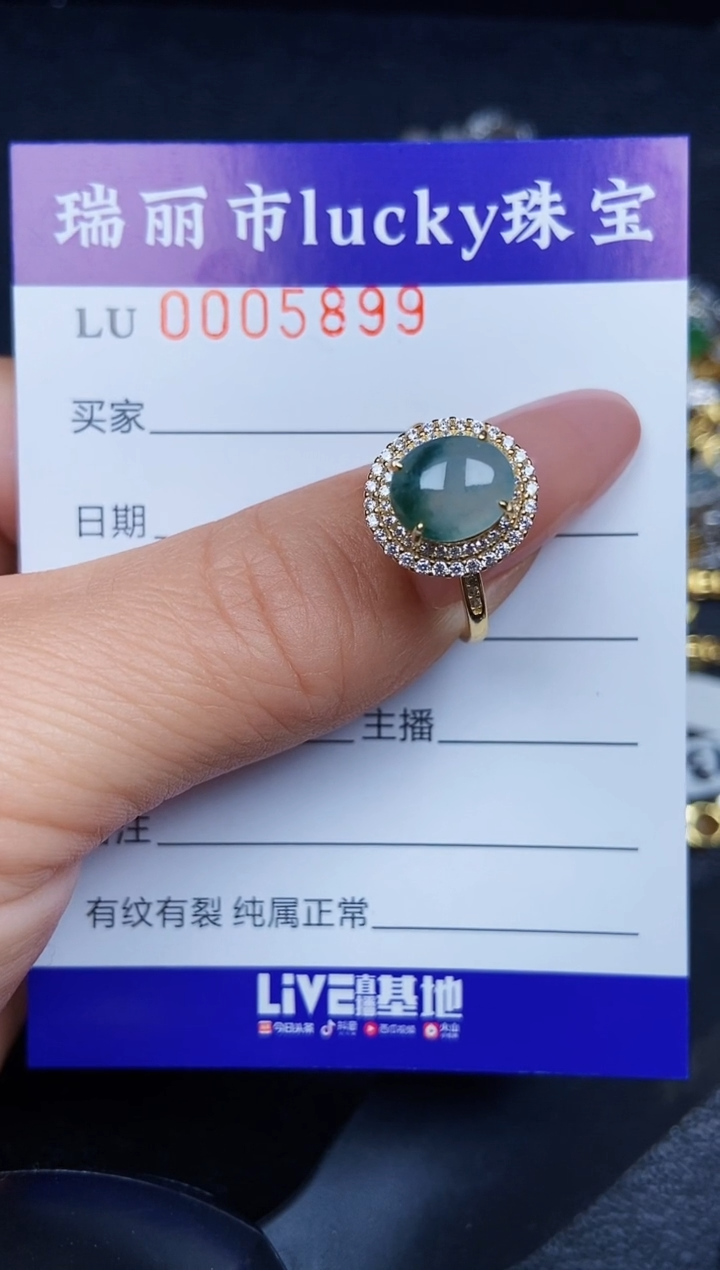 翡翠银S925镶嵌颈饰5899