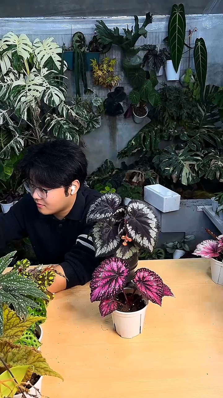 完全开放3396海伦