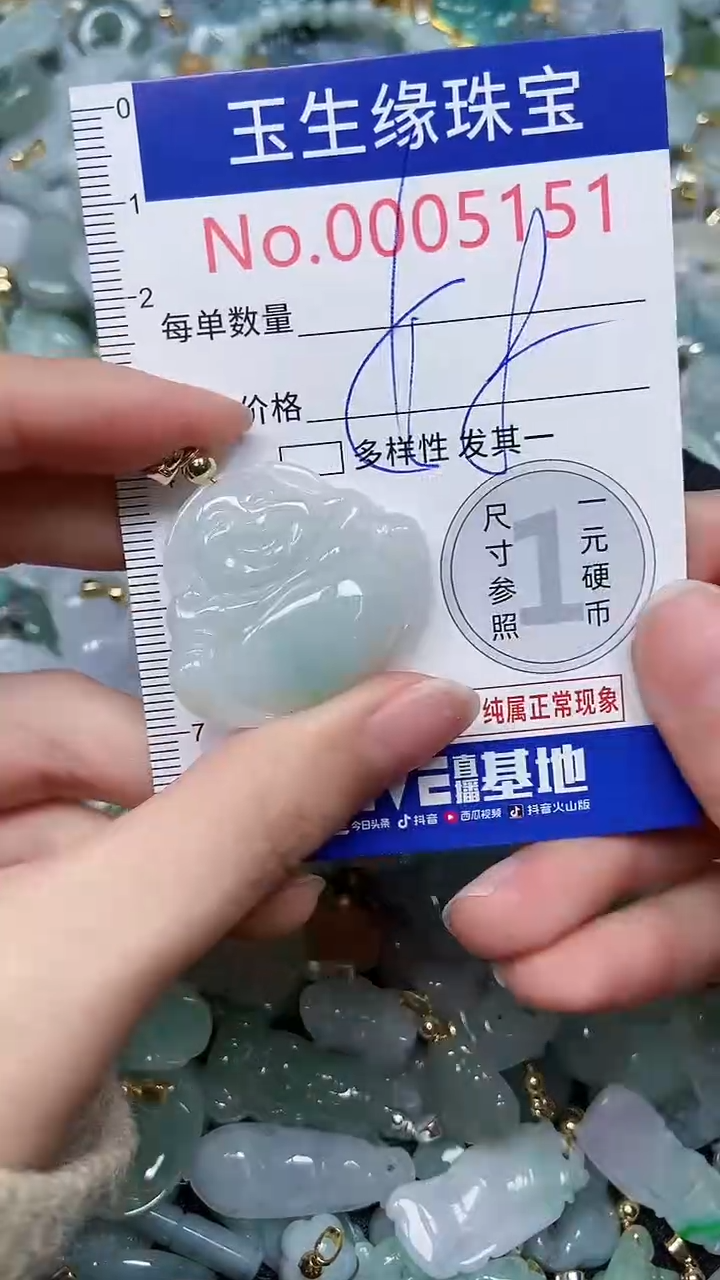 【闪购商品】翡翠颈饰未镶嵌闪购00005151