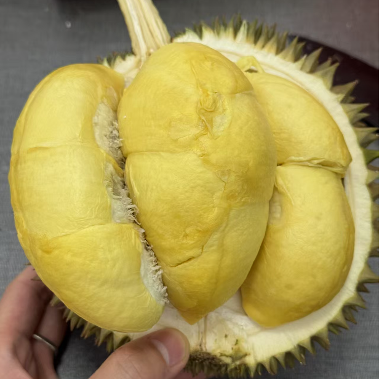一物一拍长柄猫山王榴莲 香甜软糯绵密核大新鲜果直达3-8斤 顺丰发货干尧泰国东部