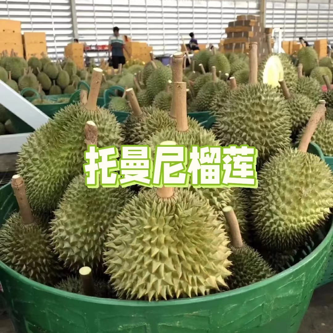 【西施专属2】一物一拍泰国托曼尼榴莲新鲜榴莲整颗鲜果树熟带壳A级软糯香甜核大3斤-10斤顺丰次日达托曼尼泰国