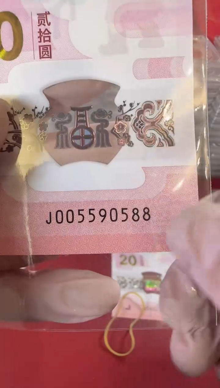 【闪购商品】塑料2025蛇钞啊啊啊啊啊单张