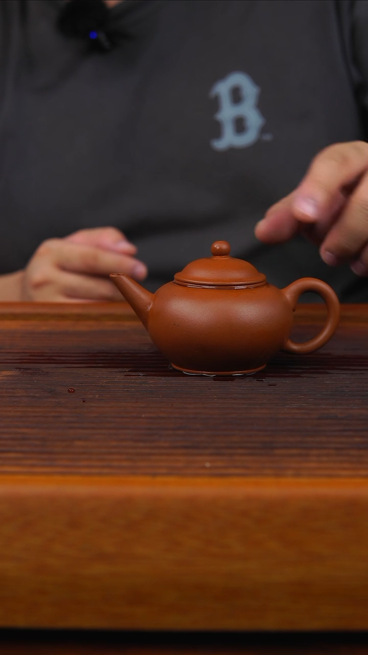 茶壶紫砂长生红泥水平壶