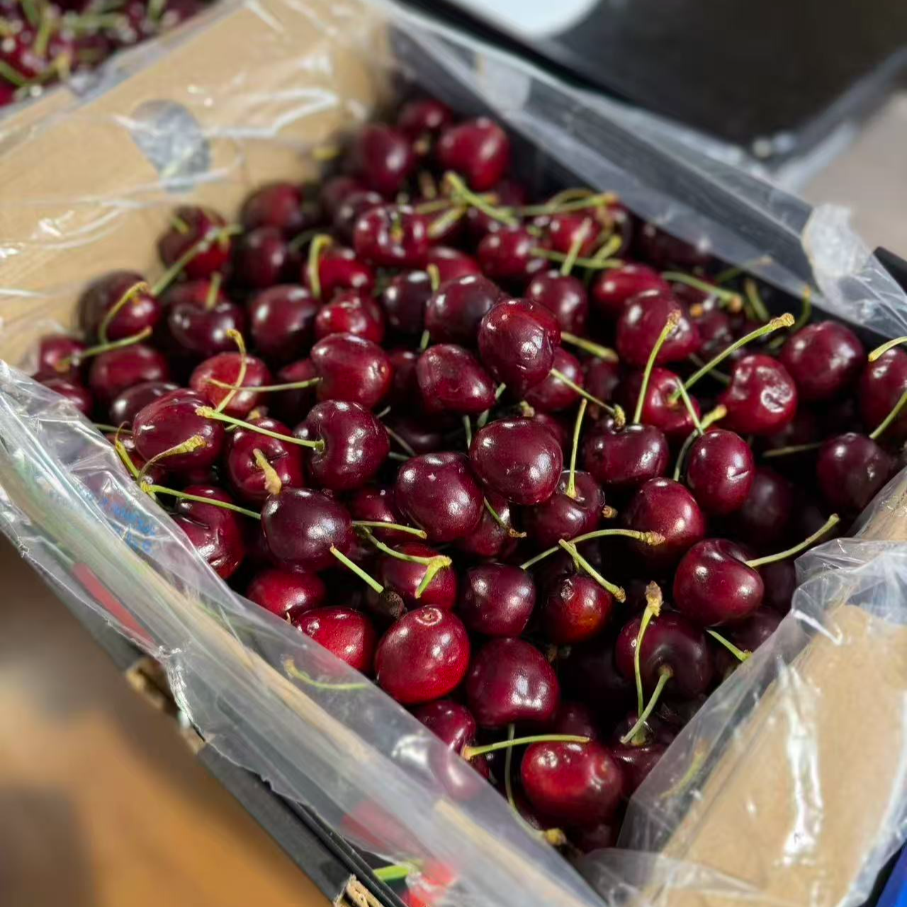 J单勾桑提娜车厘子斤五斤海运桑提娜智利