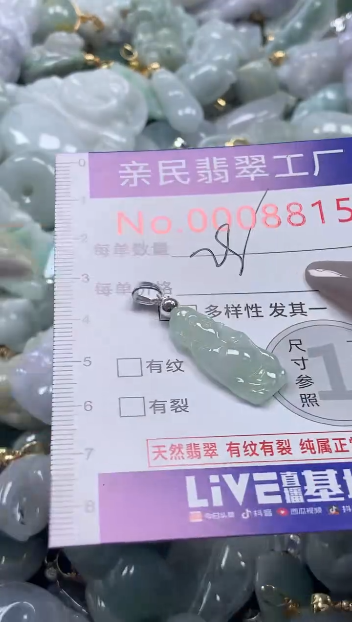 颈饰未镶嵌翡翠8815