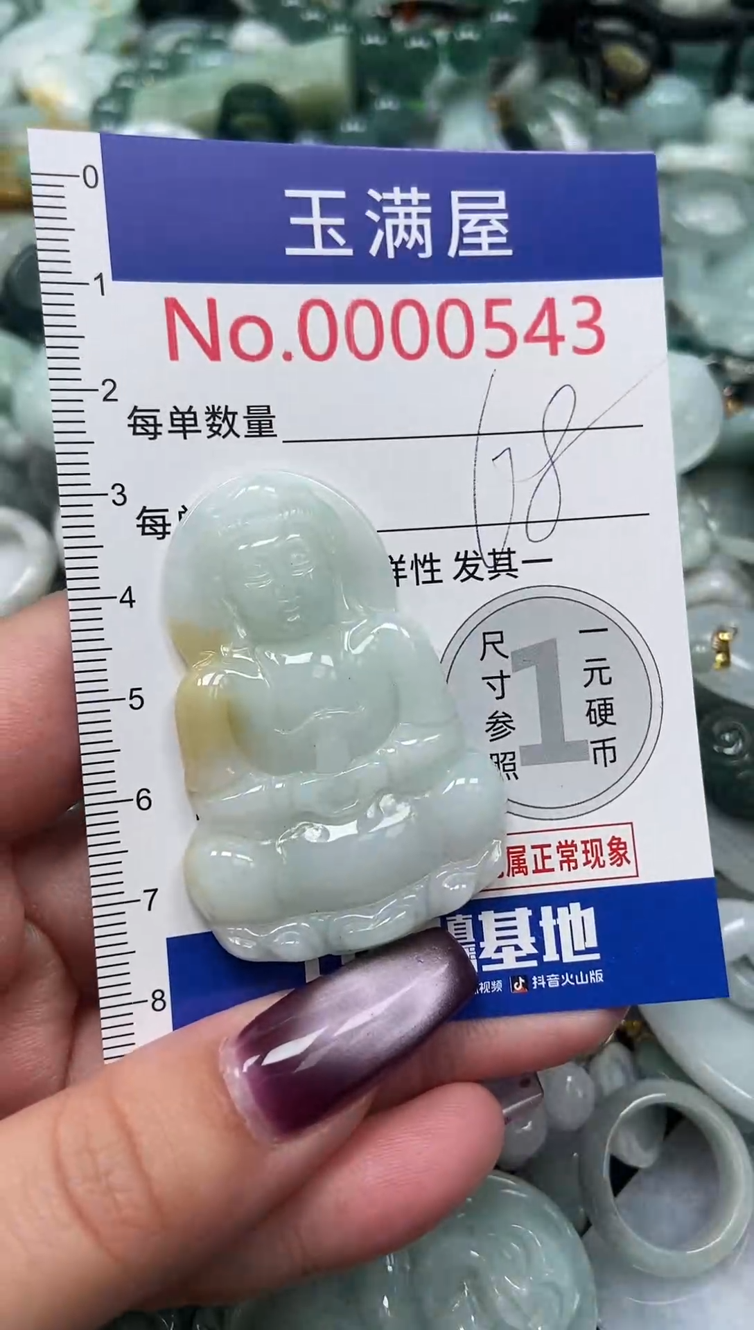 颈饰未镶嵌翡翠543