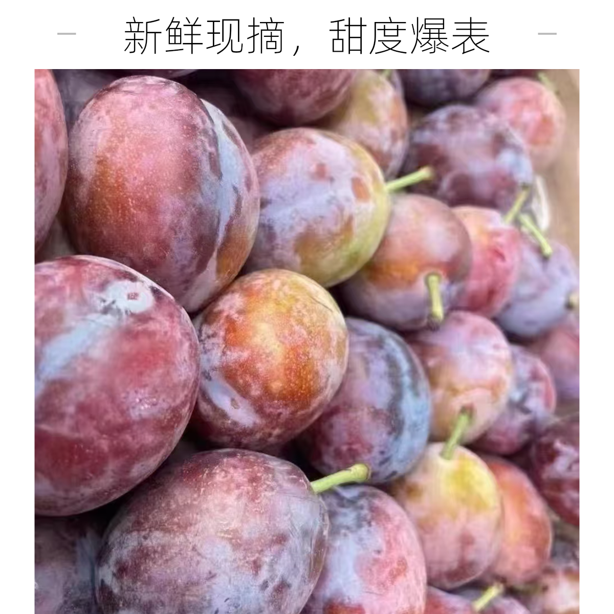法兰西 西梅  2斤
