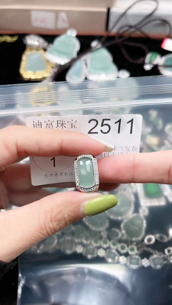 【闪购商品】翡翠颈饰未镶嵌赠皮绳2511