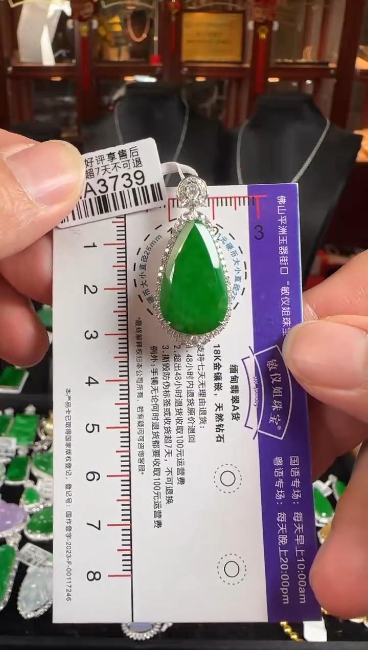 颈饰18K金镶嵌翡翠HA3739冰绿滴水