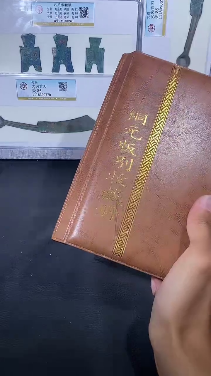 【闪购商品】金琪珍铜元版别册