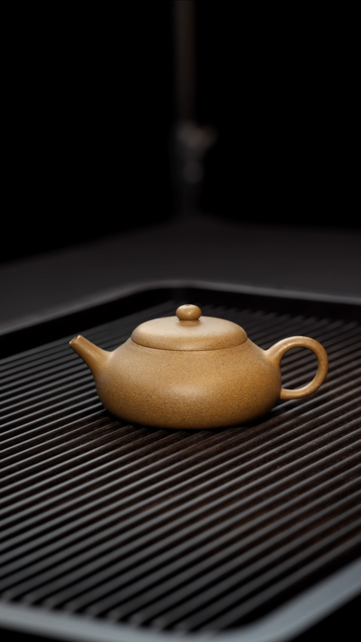 茶壶紫砂全手工段泥扁玉