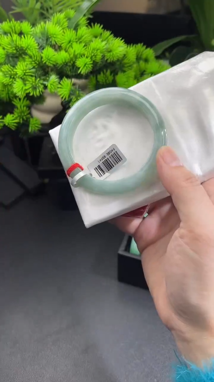 【闪购商品】翡翠手镯未镶嵌正圈