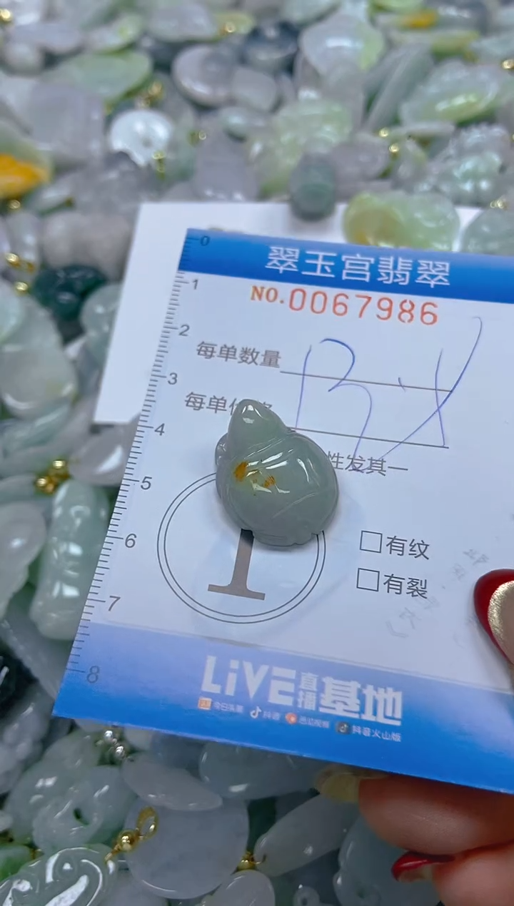 【闪购商品】翡翠颈饰未镶嵌闪购0067986