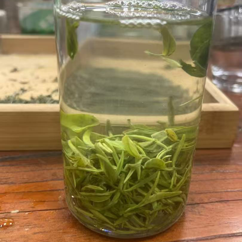 【2025年新茶】雨前芽叶浓香耐泡回甘鲜爽茶叶