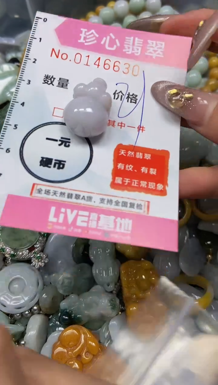 【闪购商品】翡翠颈饰未镶嵌闪购0146630