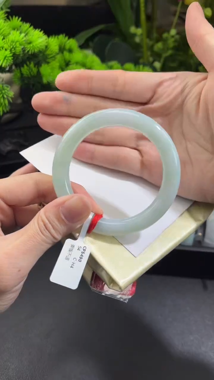 【闪购商品】翡翠手镯未镶嵌正圈