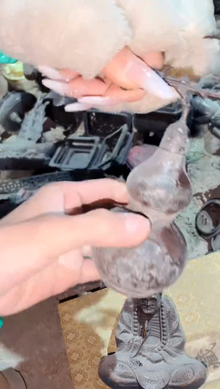 【闪购商品】雅琪精品专属链接74