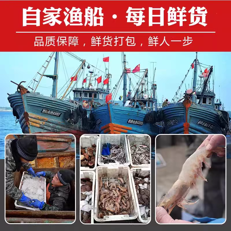 （新店福利）保证满黄满肉特大母5两左右顺丰冷链空运不包活