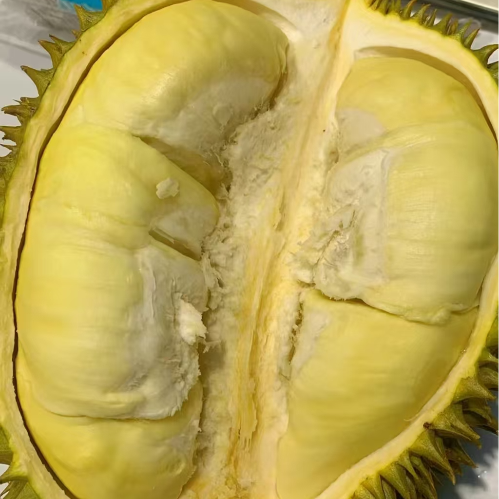 5号金枕榴莲鲜榴莲整果1g 核大核小一物一拍金枕泰国