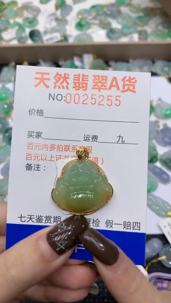 【闪购商品】翡翠颈饰18K金镶嵌11111111111