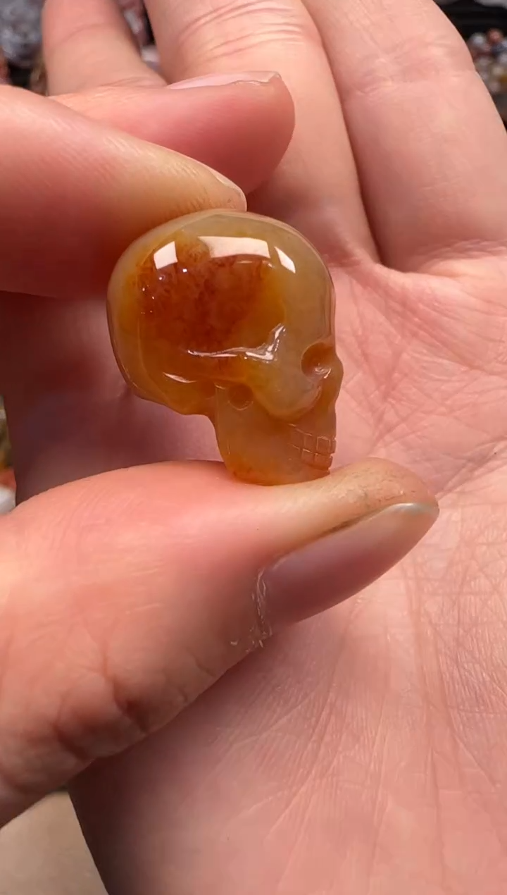 【闪购商品】硅化珊瑚（珊瑚玉）颈饰未镶嵌480