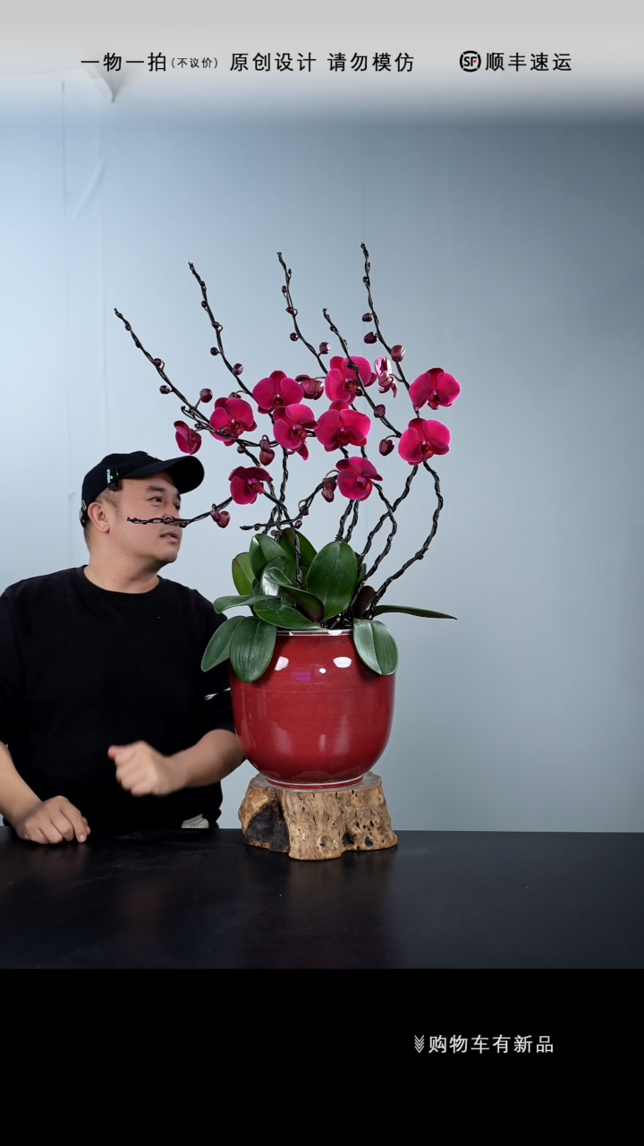 【闪购商品】031号链接【一物一拍】艺术盆景