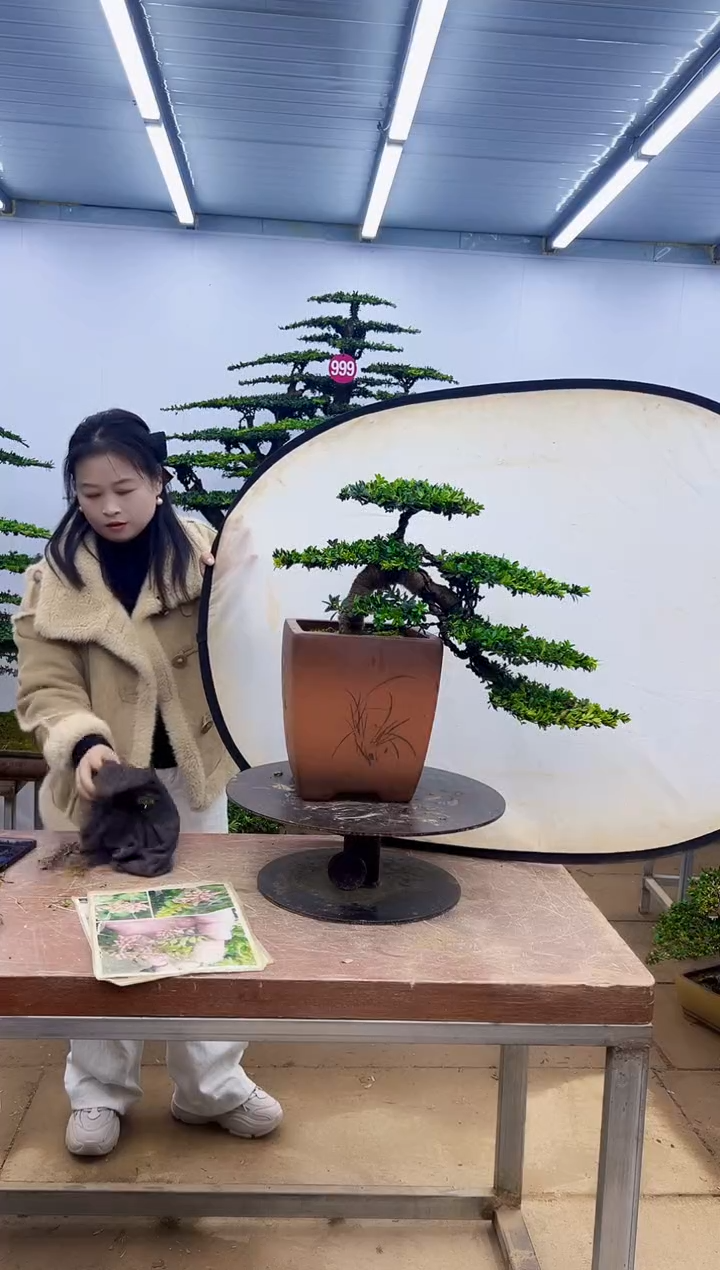 无花朵一物一拍，所见即所得