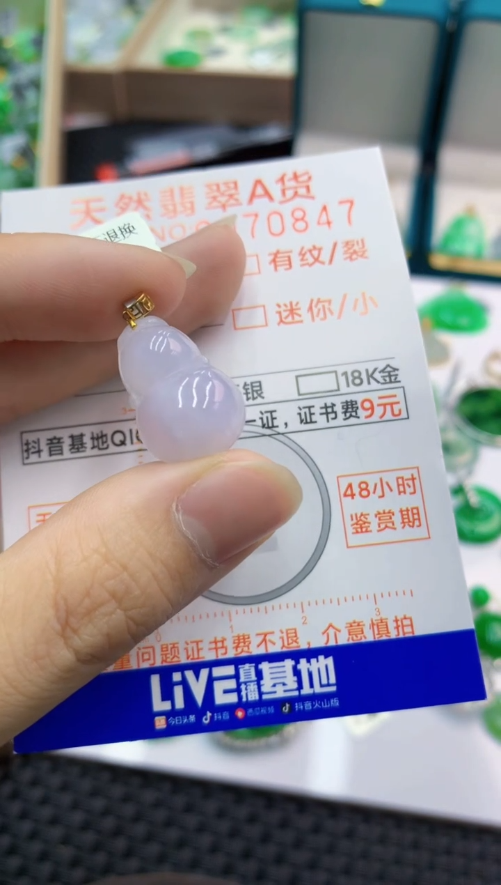 翡翠18K金镶嵌颈饰        1