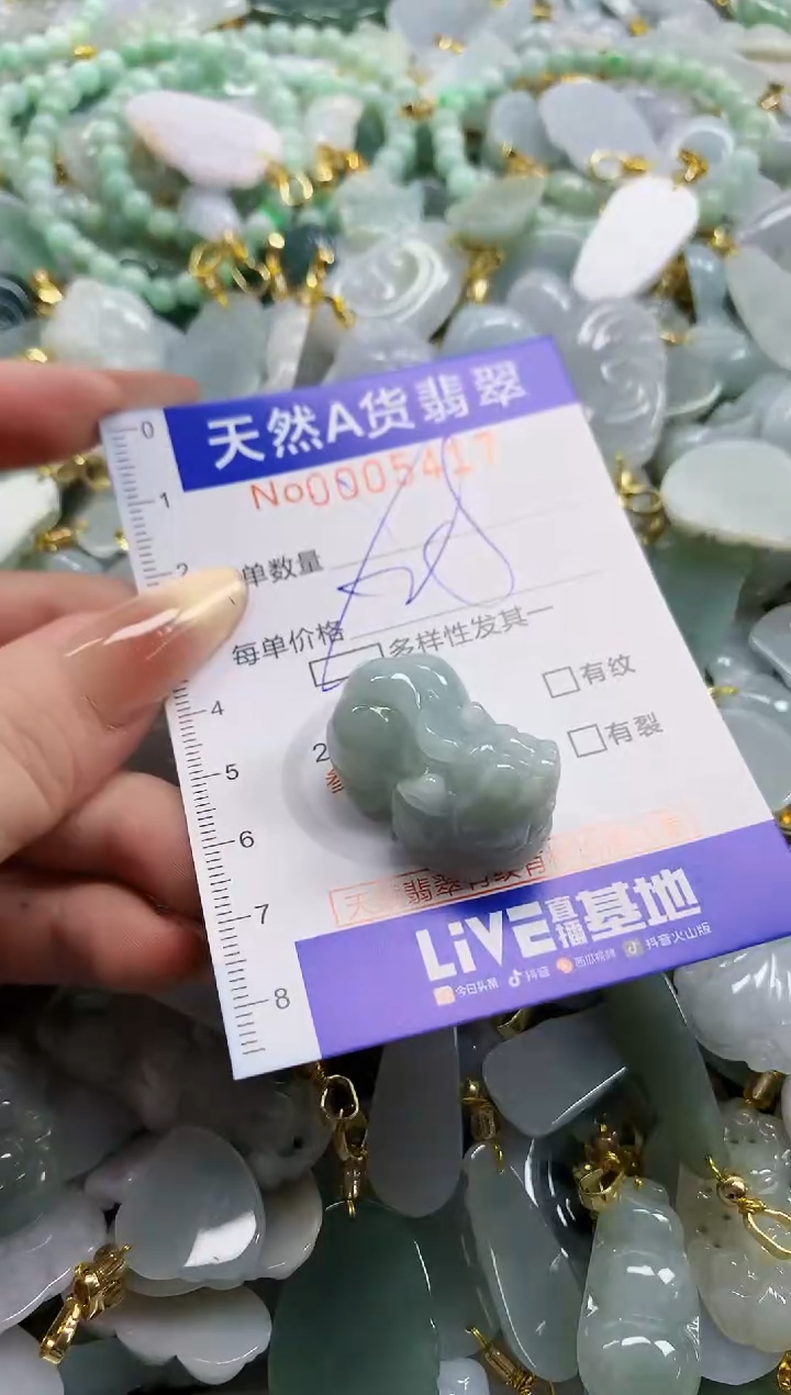 颈饰未镶嵌翡翠天然A货翡翠