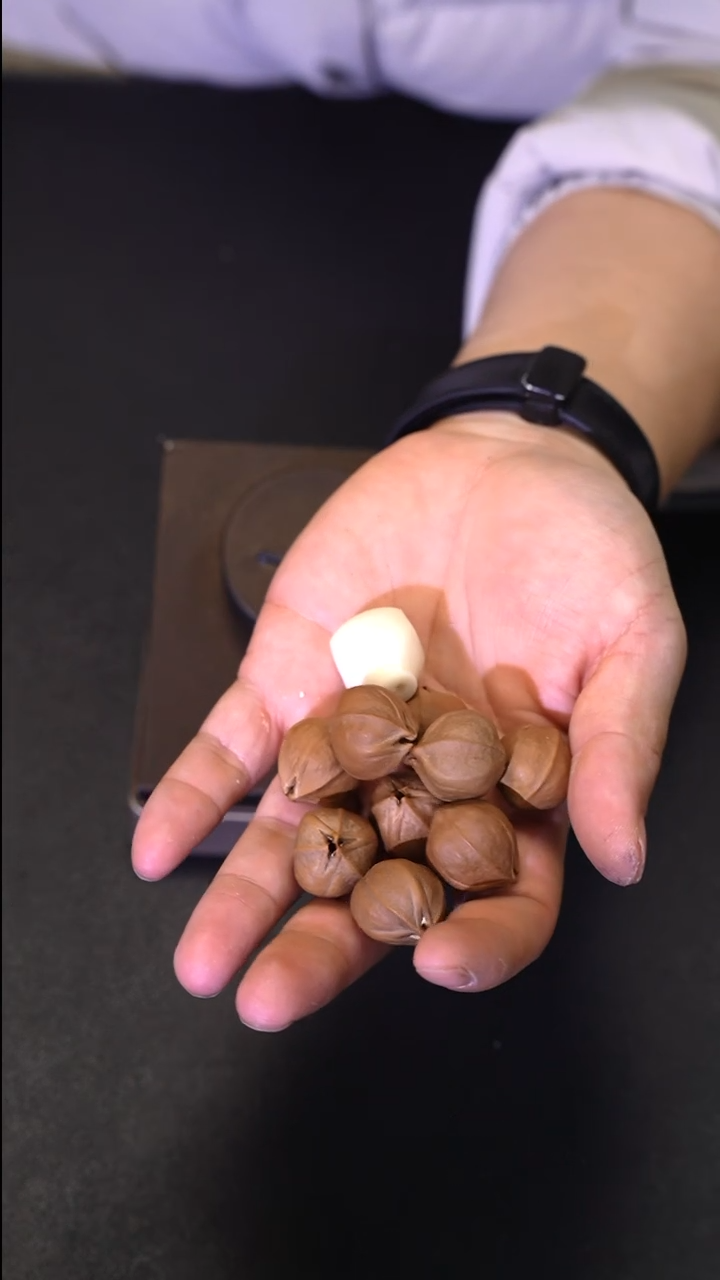 手串/手链橄榄核.......2122梅林铁核