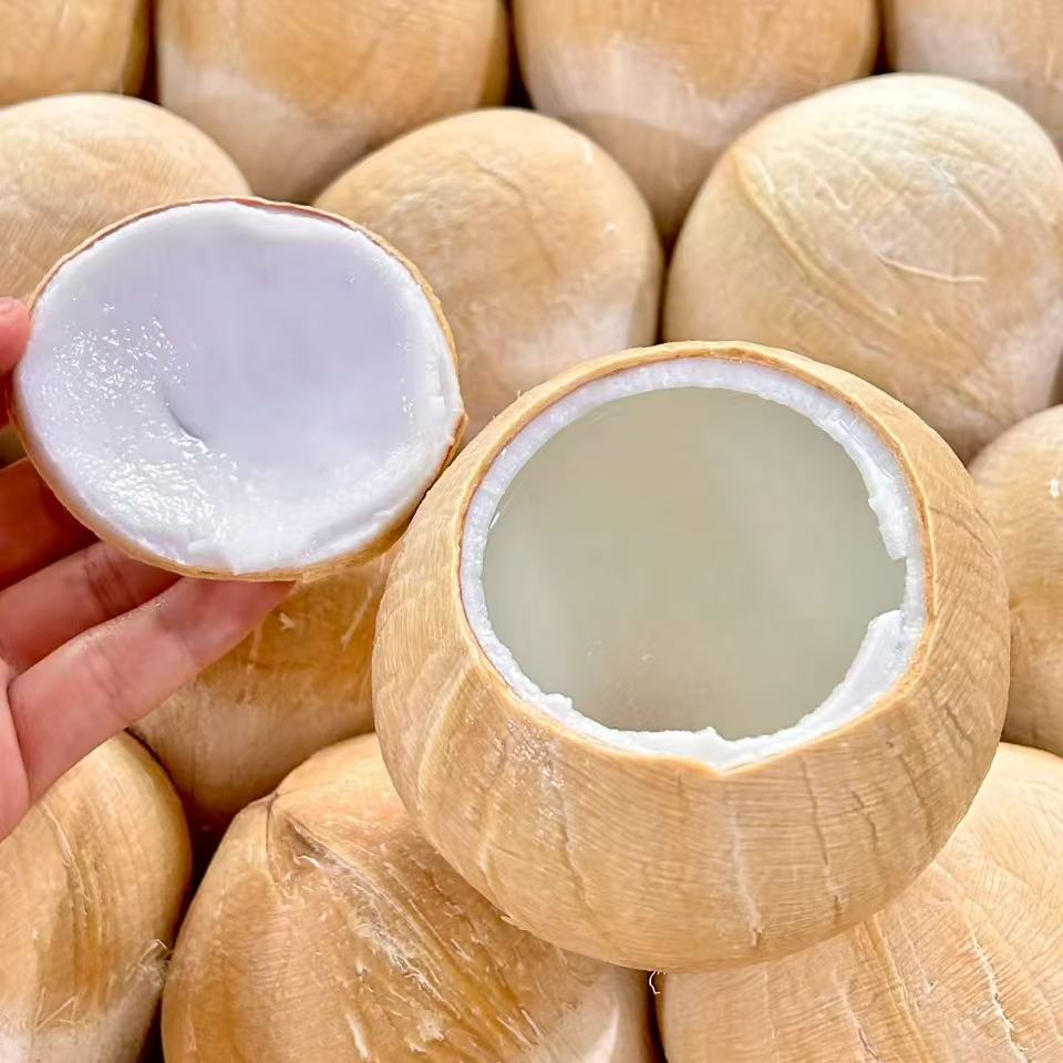 超大果！单果530g~620g 椰皇【5颗装】香味加倍！必须冷藏