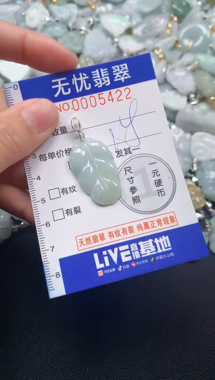 颈饰未镶嵌翡翠5421